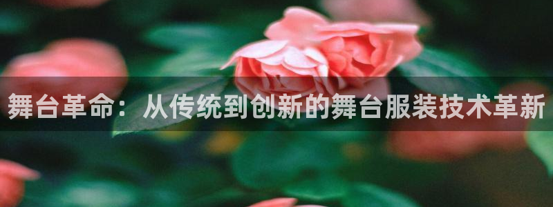 天辰娱乐1966