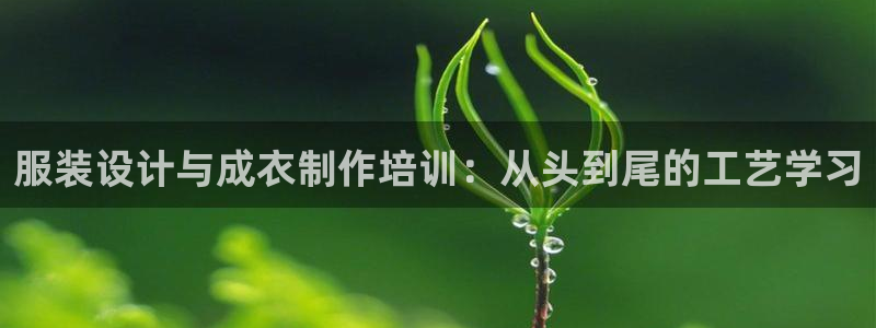 天辰娱乐海洋