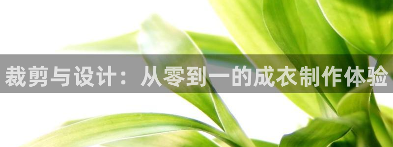天辰说娱乐