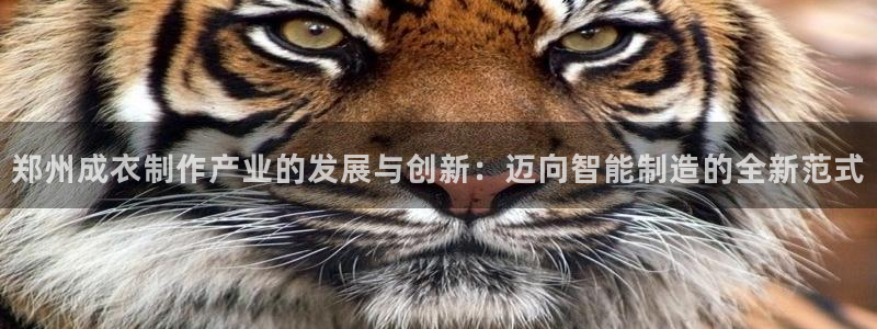 天辰娱乐总管年薪