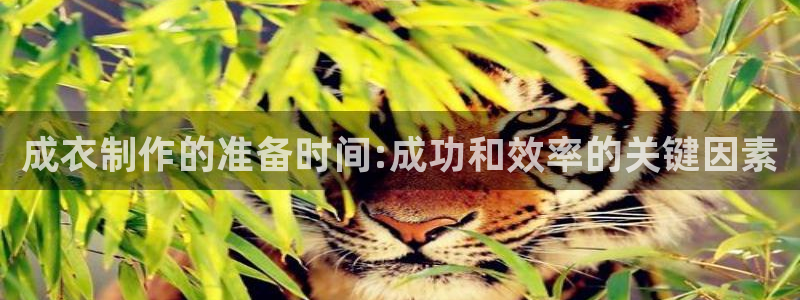 天辰娱乐小姐
