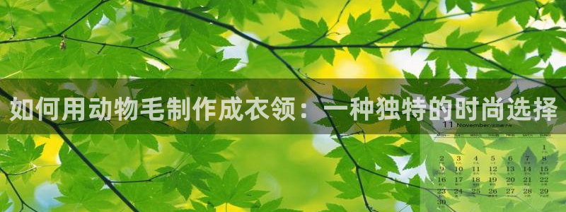 天辰娱乐44616