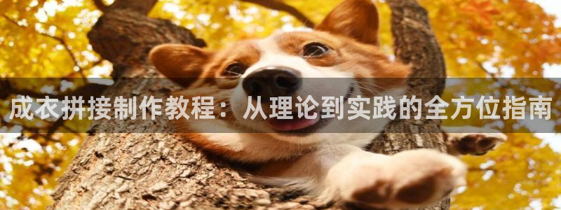 天辰娱乐彩票