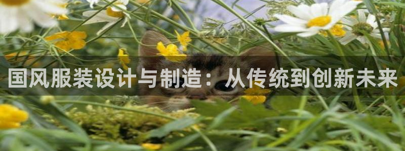 天辰娱乐主页