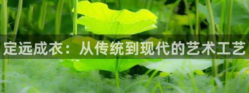 天辰娱乐待遇