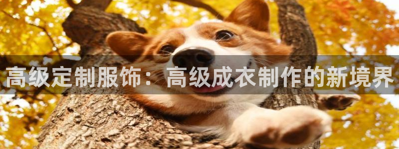 天辰娱乐的网址首页