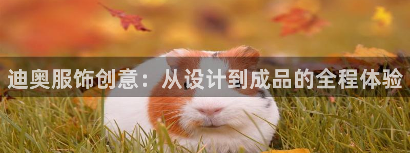 天辰娱乐39974神