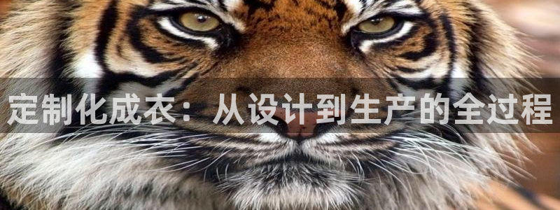 天辰娱乐登陆