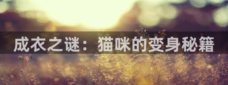 天辰娱乐指尖所