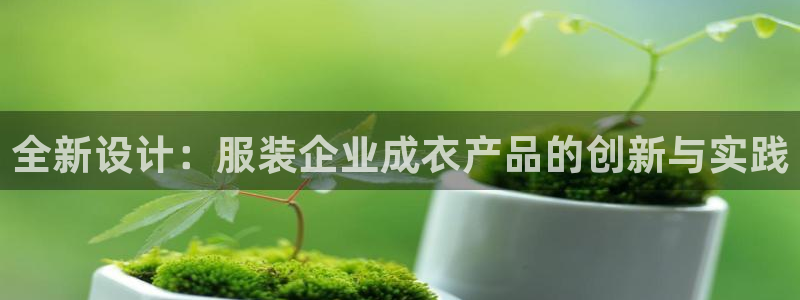 天辰娱乐股东
