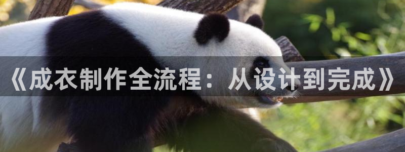 天辰娱乐招商
