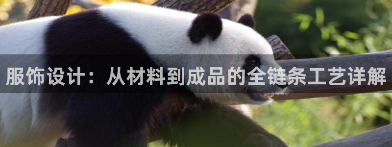 天辰娱乐53551
