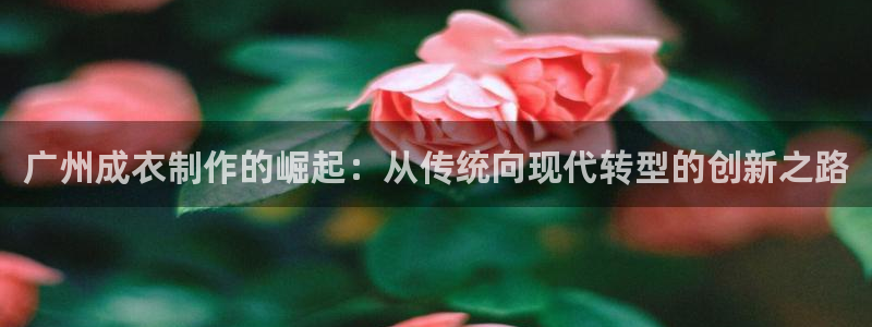天辰娱乐直属