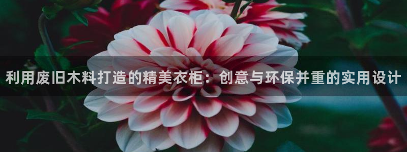 天辰娱乐 . 鱼刺