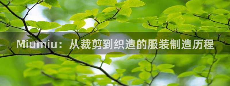 天辰娱乐60447