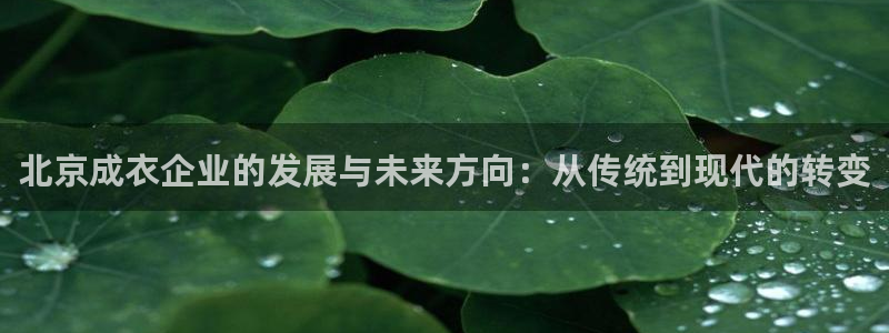 天辰娱乐39974神