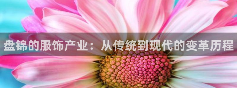 天辰娱乐小姐
