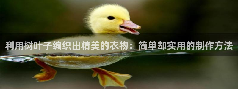 桂林天辰娱乐