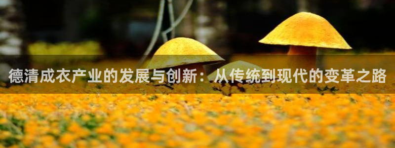 天辰娱乐在线登录注册