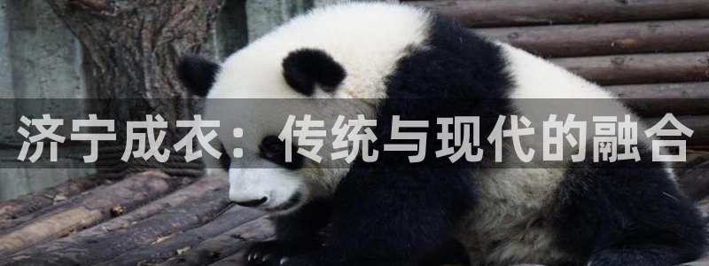 天辰天富娱乐登录