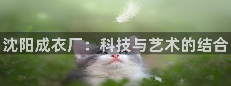 天辰娱乐入口