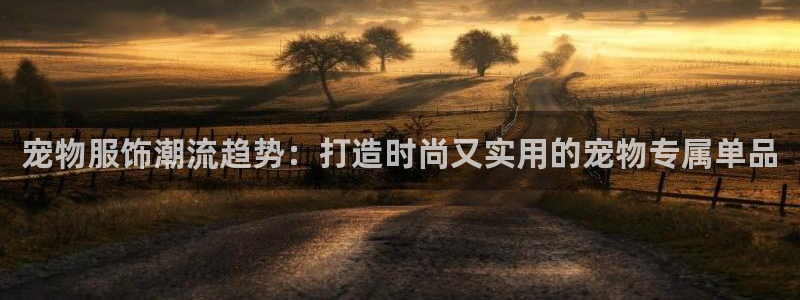 天辰臣娱乐