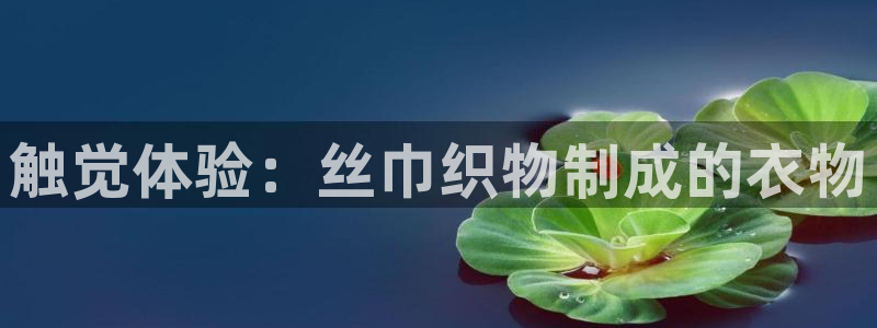 天辰娱乐39596