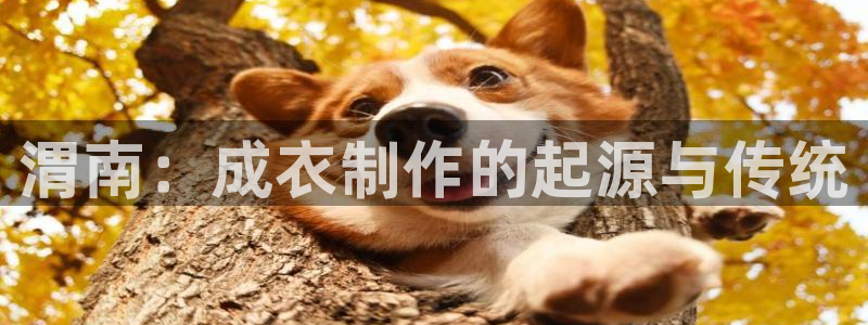 天辰娱乐连接