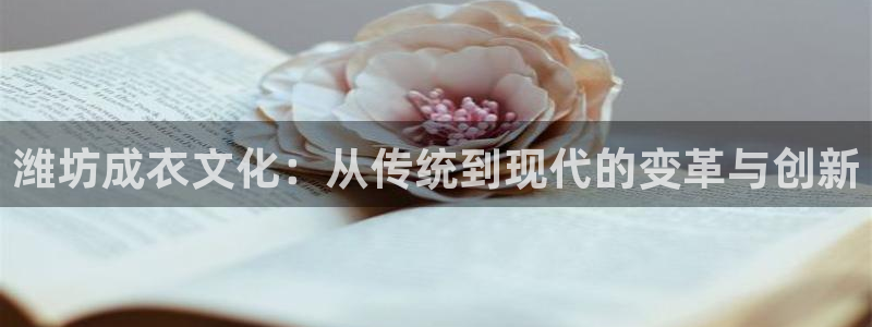 天辰娱乐输了