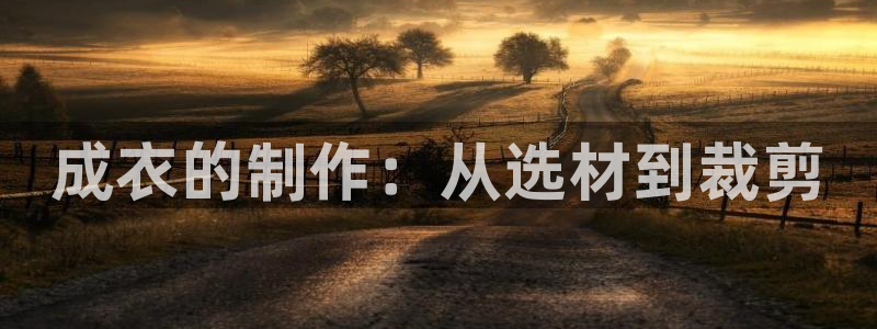 广东天辰娱乐