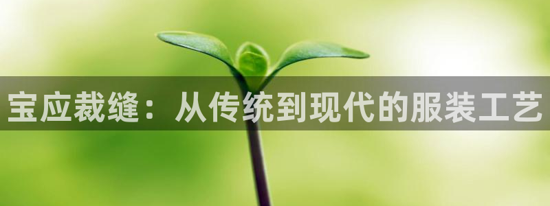 天辰娱乐直属