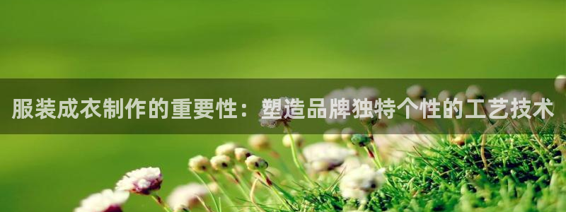 天辰娱乐集团