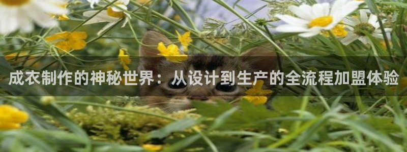 天辰娱乐 首选