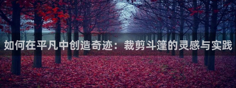 哈尔滨天辰娱乐