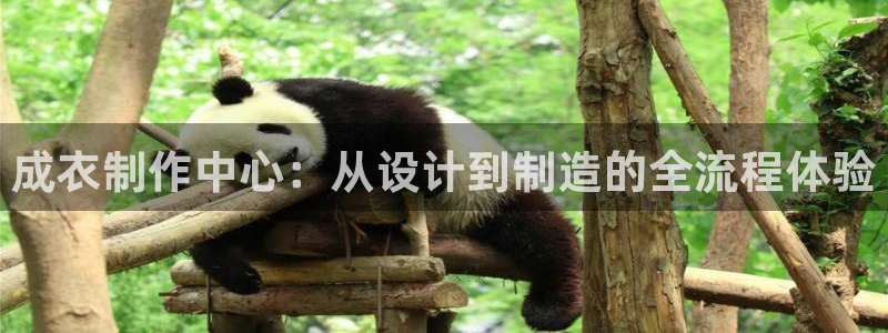 天辰娱乐招商