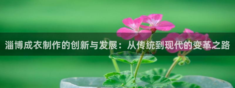 天辰娱乐957807
