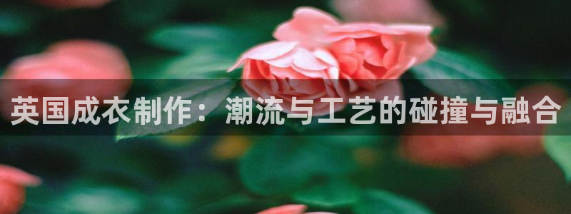 天辰娱乐appxi