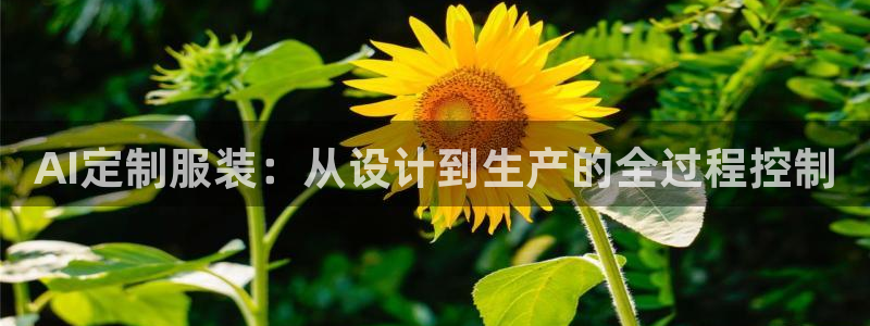 天辰娱乐招商