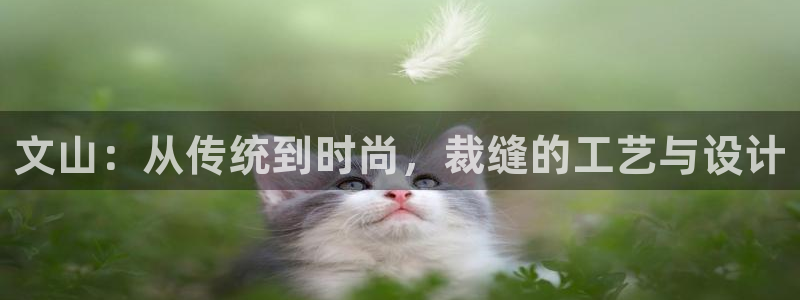 天辰在线娱乐
