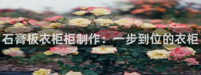 天辰娱乐所