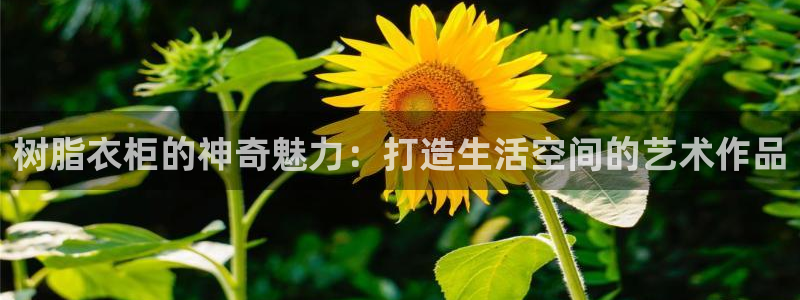天辰娱乐957807