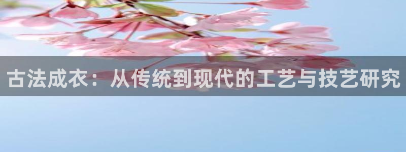 辰天娱乐用品
