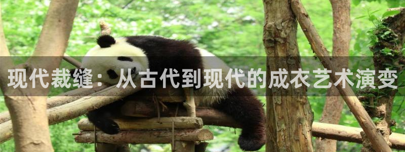 天辰娱乐在哪