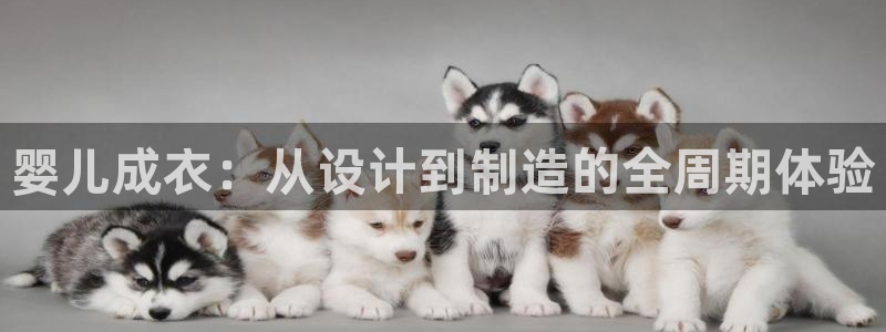 天辰娱乐总管年薪
