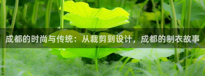 天辰娱乐481928