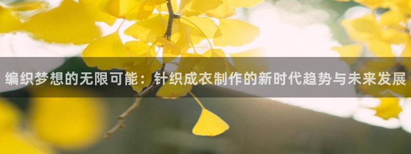 广东天辰娱乐
