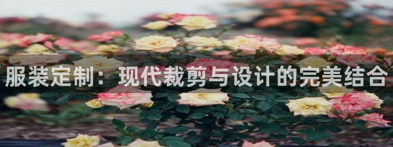 天辰娱乐60447