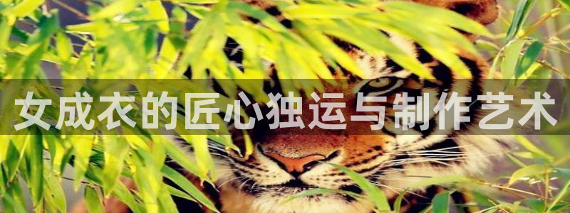 天辰娱乐51137