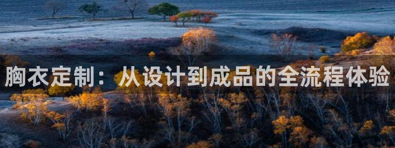 天辰娱乐分红