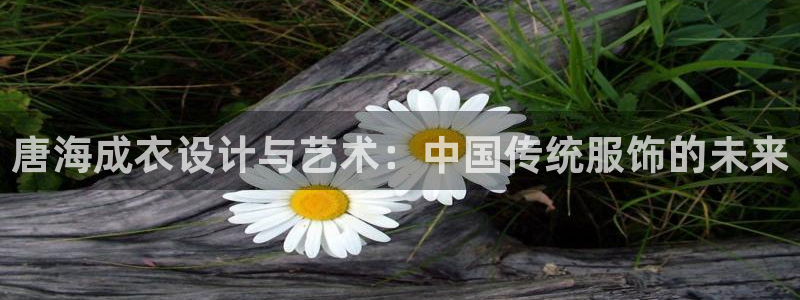 天辰娱乐在线
